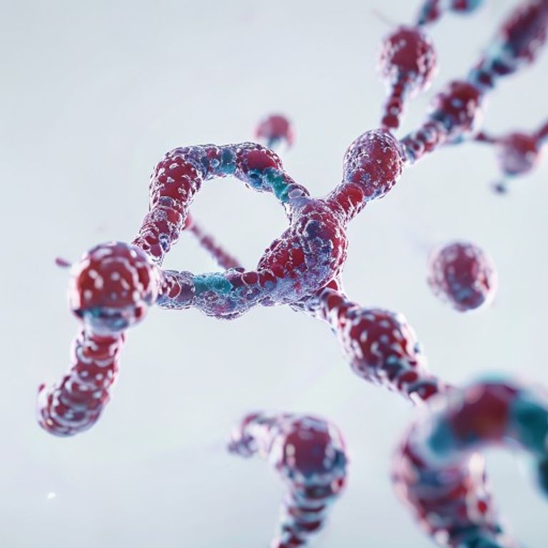 Telomeric Maintenance as the Key to Human Healthspan Extension and Longevity